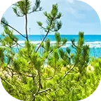 Island coast